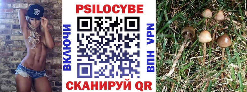 Галлюциногенные грибы Magic Shrooms Камешково
